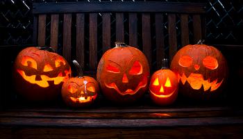 اليقطين من أبرز ملامح الهالوين