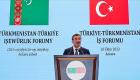 Cevdet Yılmaz'dan "Türkiye, Türkmenistan ve Azerbaycan" ile enerjide işbirliği vurgusu!