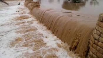 سيول بمحافظة البحر الأحمر - أرشيفية