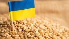 صادرات الحبوب الأوكرانية تتراجع إلى النصف 