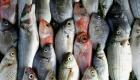 تغير المناخ يهدد القيمة الغذائية للأسماك.. تراجع حاد في الأوميغا 3 