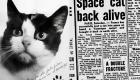 فلیست؛ تنها گربه تاریخ که به فضا سفر کرده است