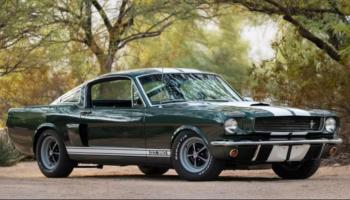 Shelby GT350