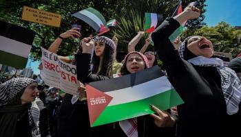 مظاهرة ضد العدوان الإسرائيلي على قطاع غزة في ساو باولو
