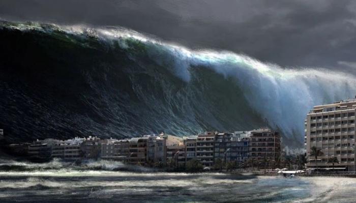 Tsunami disaster