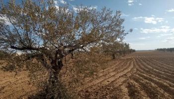 الجفاف يضرب تونس - أرشيفية