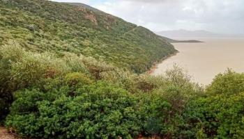 بحيرة إشكل في تونس