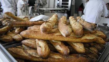 Image d'Illustration