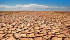 الجفاف يحرم المحاصيل الزراعية من المياه.. تونس الخضراء إلى أين؟ 
