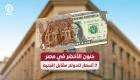 جنون الأخضر في مصر.. 7 أسعار للدولار مقابل الجنيه