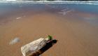 «زجاجات السحرة».. قطع أثرية «مخيفة» تثير الرعب على شواطئ أمريكية (صور)