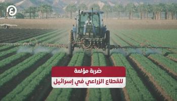 ضربة مؤلمة للقطاع الزراعي في إسرائيل