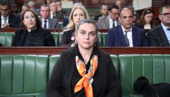 ليلى الشيخاوي وزيرة البيئة التونسية