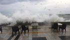 Meteoroloji açıkladı: Türkiye'nin bazı bölgelerinde sağanak yağış beklentisi