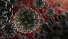 Coronavirus : ce que l'on sait sur le nouveau variant JN.1, qui peut gâcher les fêtes de Noël ?