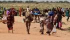 «إيغاد» تضع السودان على طريق الحل.. بانتظار «الإرادة السياسية»