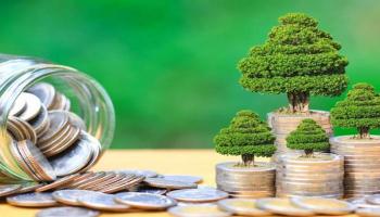 15 مليار درهم حجم إصدارات الصكوك والسندات الخضراء في الإمارات