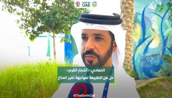 الدكتور محمد الحمادي