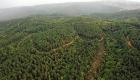 Resmi Gazete'de yayınlandı: 11 ilde bazı alanlar orman sınırları dışına çıkarıldı