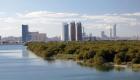 Abu Dhabi, iklim değişikliğiyle mücadele için 44 milyon mangrov ağacını dikti