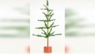 شجرة متواضعة لعيد الميلاد معروضة للبيع في مزاد.. والسعر مفاجأة