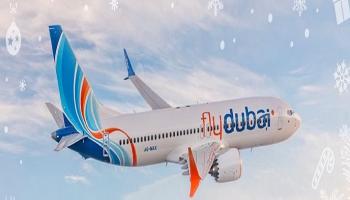 أسطول طائرات 