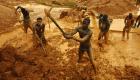 الذهب «غير الشرعي» يهدد أبرز معاقل الكاكاو في أفريقيا