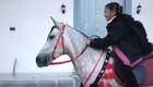 «جود على الجواد».. طفلة سعودية تمتطي الحصان إلى مدرستها