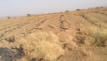 اتساع دائرة الجفاف في المغرب