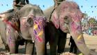 ببینید | جشنواره فیل‌ها در نپال