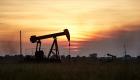 Rusya, ‘hasım’ olarak tanımladığı ülkelere petrol tedariğini durdurdu