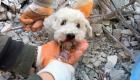 نجات معجزه‌آسای یک سگ از زیر آوار زلزله ترکیه (+تصاویر)