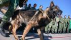  Meksika’dan getirilen kurtarma köpeği Proteo, hayatını kaybetti!