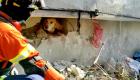 ترس و لرز سگ نجات یافته از زیر آوار زلزله ترکیه (+ویدئو)
