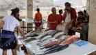 قرار حكومي لإنهاء أزمة ارتفاع أسعار الأسماك في اليمن