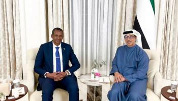  الشيخ منصور بن زايد آل نهيان خلال استقباله حميدتي- وام