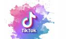 Tiktok : Le Canada lance une enquête sur le réseau social 