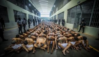 Salvador : transfert des premiers membres de gangs dans la nouvelle méga-prison 