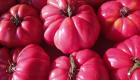 بفعل تغير المناخ.. الطماطم الوردية تواجه معركة بقاء في بلغاريا