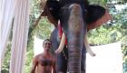 گزارش تصویری | رونمایی از فیل رباتیک در هند که در اندازه واقعی ساخته شد