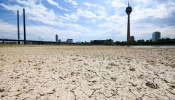 La sécheresse frappe le niveau d'eau bas du Rhin