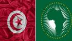تطورات أزمة المهاجرين.. الاتحاد الأفريقي يلغي مؤتمرا في تونس