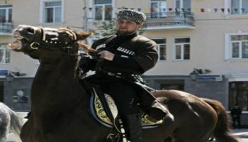 سرقة الحصان "زازو" تغضب رئيس الشيشان.. ما علاقة العقوبات الغربية؟