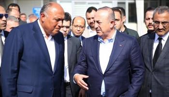 وزيرا خارجية تركيا ومصر