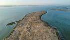 اكتشاف أقدم مدينة لصيد اللؤلؤ في الخليج العربي بالإمارات (صور)