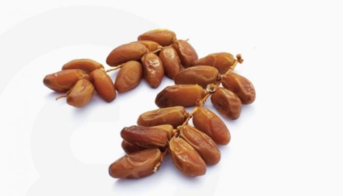 Deglet Nour, meilleure variété de dattes au monde