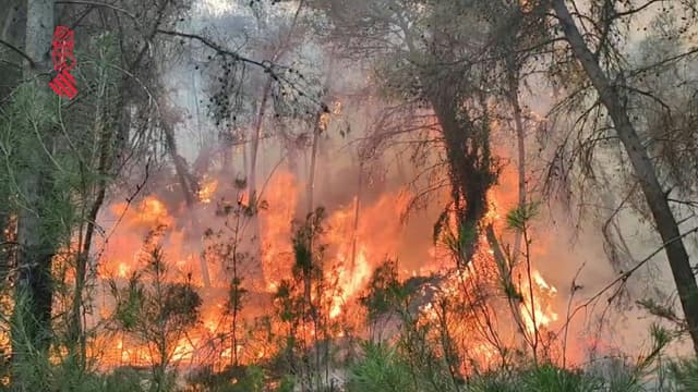 L'Espagne touchée par son premier feu de forêt majeur de l'année