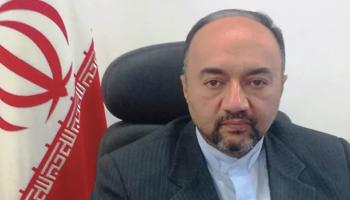 رضا عامري - أرشيفية