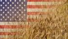 ليست الحرب وحدها.. "المناخ" يدفع القمح الأمريكي إلى حافة الخطر