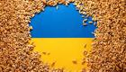 هل يصبح القمح الأوكراني "لعنة" على أوروبا؟.. بولندا تتفادى الإغراق